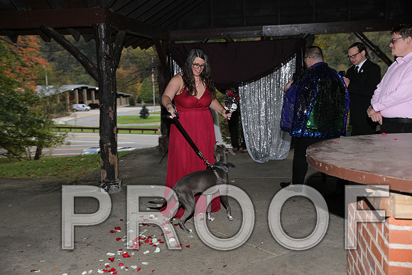 8L2A3282 Wedding Photos - The ceremony
