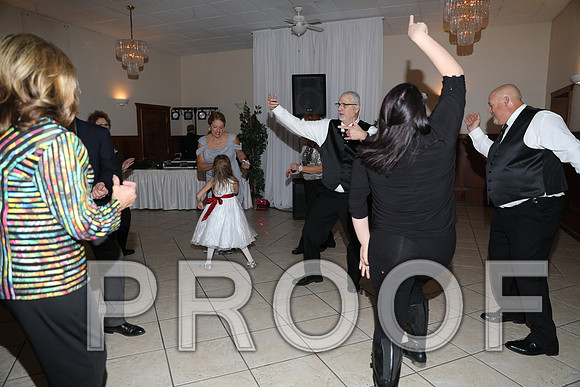 8L2A6636 Wedding Photos - Let the Party Start