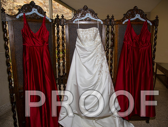 8L2A5497 aaa Wedding Photos - Bride getting ready