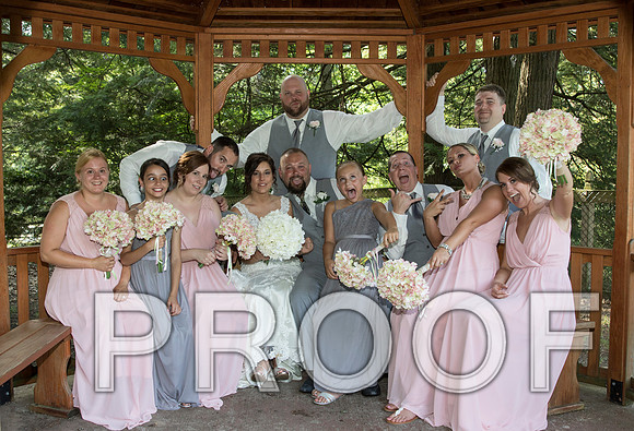 IF6A5634 aaa Wedding - Bride and Groom with the bridal party