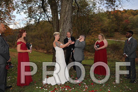 8L2A3427 Wedding Photos - The ceremony