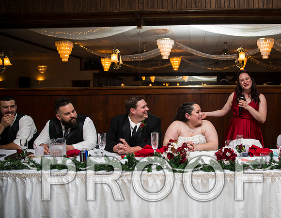 8L2A6376 aaa Wedding Photos - Toasts to the Bride & Groom