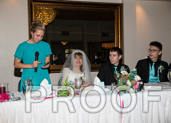 8L2A1294 aaa Wedding Toasts to the bride and groom
