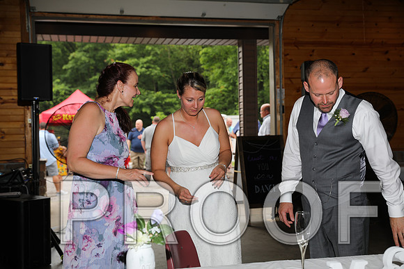 8L2A2603 Wedding Reception