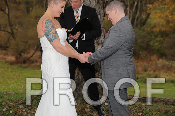 8L2A3342 Wedding Photos - The ceremony