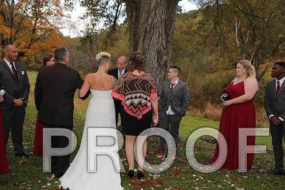 8L2A3306 Wedding Photos - The ceremony