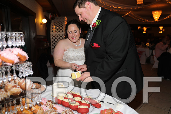 8L2A6401 Wedding Photos - Cutting the cake