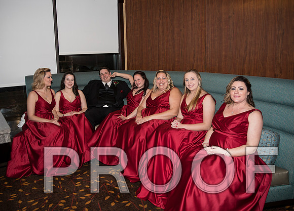 8L2A6092 aaa Wedding Photos - Bride & Groom with the bridal party