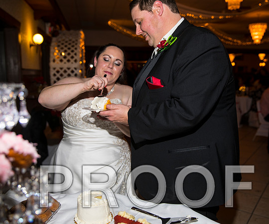 8L2A6405 aaa Wedding Photos - Cutting the cake