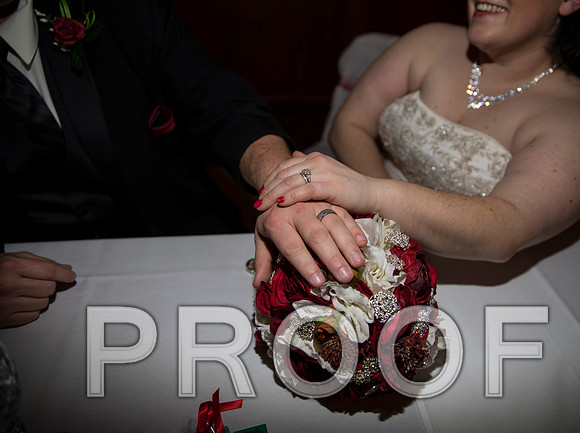 8L2A6449 aaa Wedding Photos - The Reception