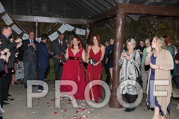 8L2A3461 Wedding Photos - The ceremony