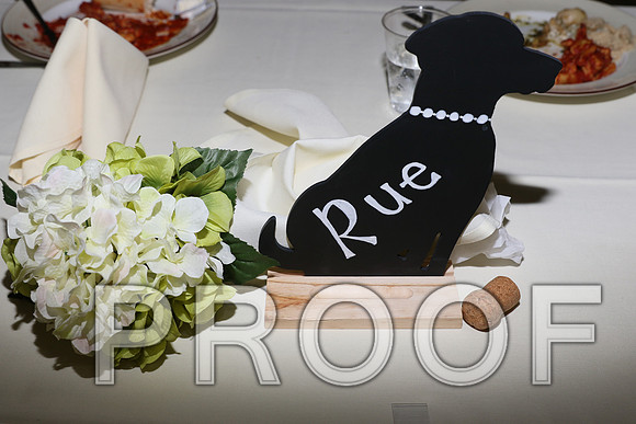 IF6A5723 Wedding Reception