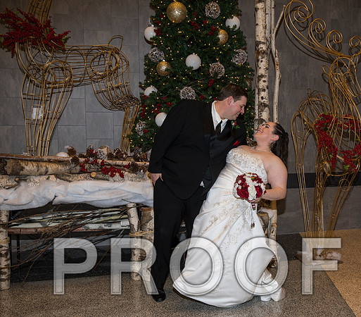 8L2A6112 aaa Wedding Photos - Bride & Groom with the bridal party
