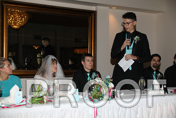 8L2A1301 Wedding Toasts to the bride and groom