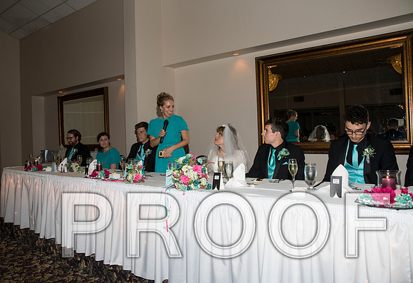 8L2A1287 aaa Wedding Toasts to the bride and groom
