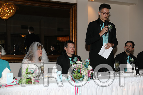 8L2A1298 Wedding Toasts to the bride and groom