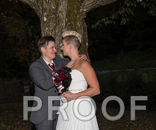 8L2A3579 aaa Wedding Photos - the bride and groom along with the bridal party
