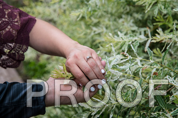 8L2A9297 aaa Engagement Session