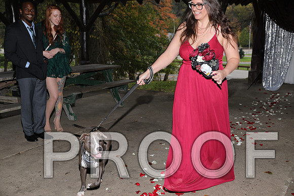 8L2A3284 Wedding Photos - The ceremony