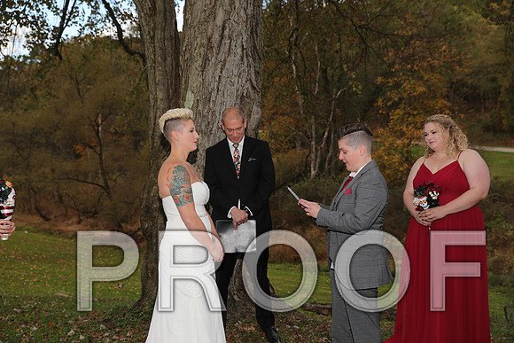8L2A3408 Wedding Photos - The ceremony