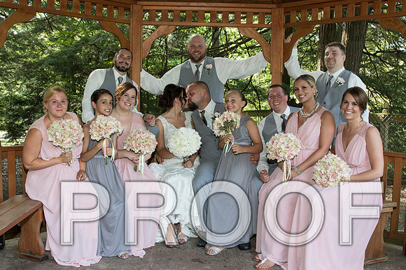 IF6A5628 aaa Wedding - Bride and Groom with the bridal party