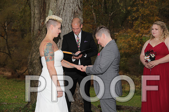 8L2A3415 Wedding Photos - The ceremony