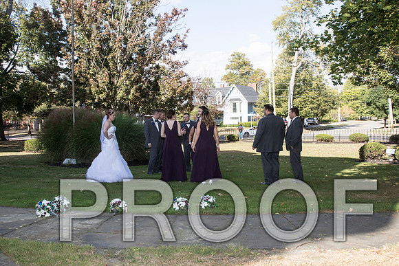 IF6A8270 aaa Wedding - Bride and groom with bridal party