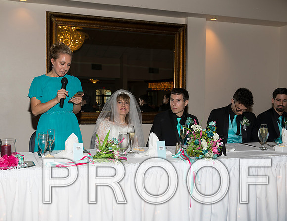 8L2A1292 aaa Wedding Toasts to the bride and groom