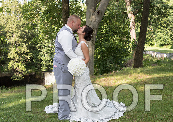 IF6A5588 aaa Wedding - Bride and Groom with the bridal party