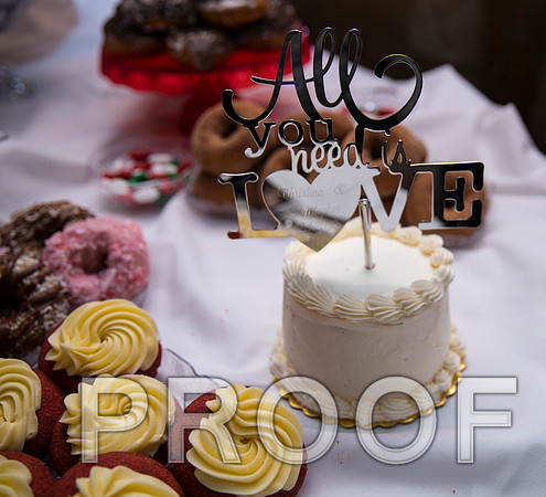 8L2A6382 aaa Wedding Photos - Toasts to the Bride & Groom
