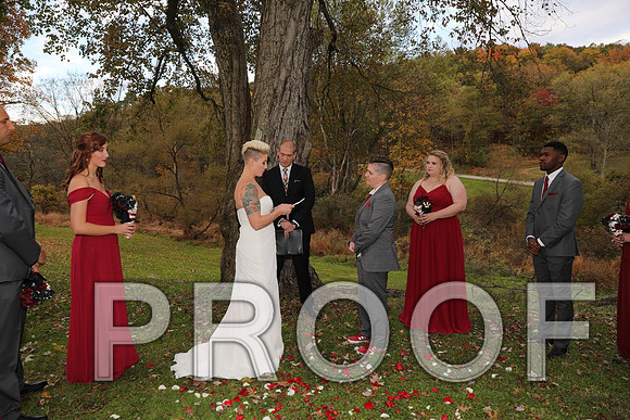 8L2A3388 Wedding Photos - The ceremony