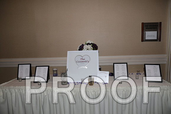 8L2A5556 Wedding Photos - Bride getting ready