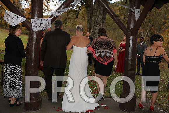 8L2A3301 Wedding Photos - The ceremony