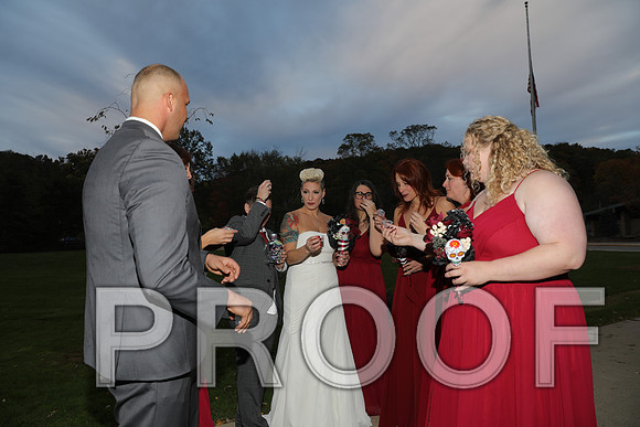 8L2A3557 Wedding Photos - the bride and groom along with the bridal party