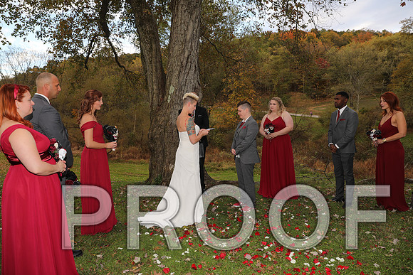8L2A3393 Wedding Photos - The ceremony