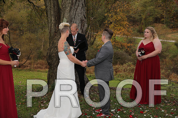 8L2A3334 Wedding Photos - The ceremony