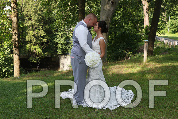 IF6A5591 Wedding - Bride and Groom with the bridal party
