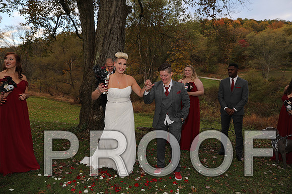 8L2A3448 Wedding Photos - The ceremony