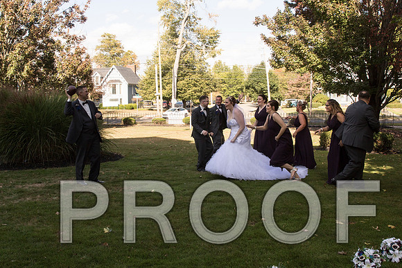 IF6A8264 aaa Wedding - Bride and groom with bridal party