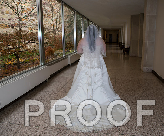 8L2A5594 aaa Wedding Photos - Bride with bridal party and family