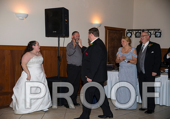 8L2A6295 aaa Wedding Photos - The Reception