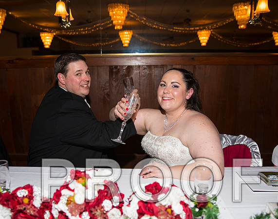 8L2A6443 aaa Wedding Photos - The Reception