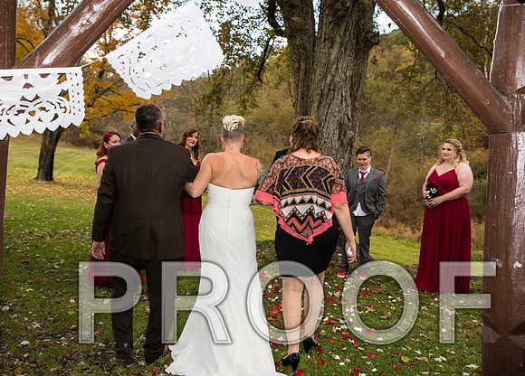 8L2A3303 aaa Wedding Photos - The ceremony