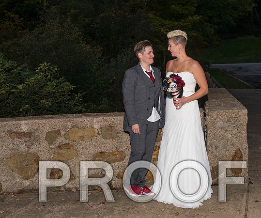 8L2A3588 aaa Wedding Photos - the bride and groom along with the bridal party