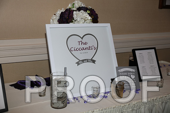 8L2A5554 Wedding Photos - Bride getting ready