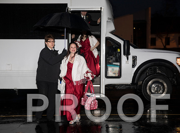 8L2A6132 aaa Wedding Photos - Bride & Groom with the bridal party
