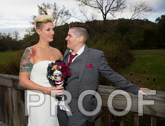 8L2A3493 aaa Wedding Photos - the bride and groom along with the bridal party