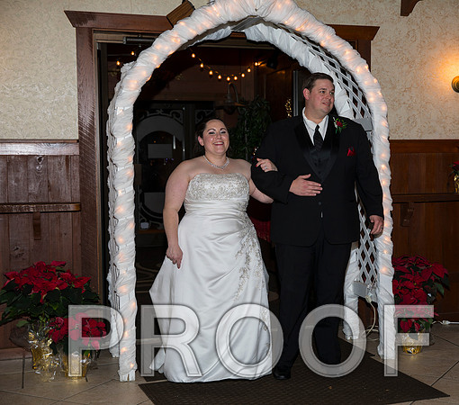 8L2A6281 aaa Wedding Photos - The Reception