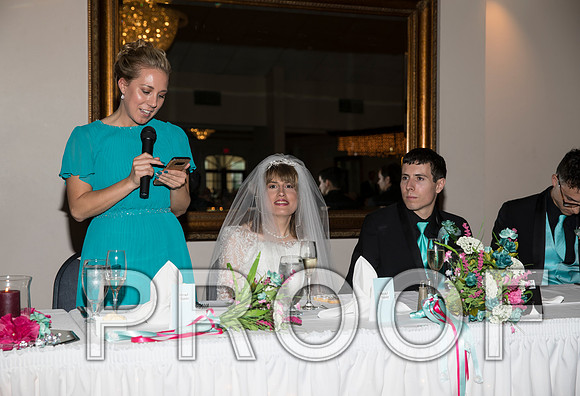 8L2A1293 aaa Wedding Toasts to the bride and groom