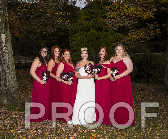 8L2A3523 aaa Wedding Photos - the bride and groom along with the bridal party